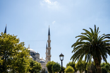 Minarets and domes of the Blue Mosque stand behind green trees and a palm tree under a bright blue sky. This view captures the atmosphere of summer travel and historical exploration in Istanbul. © Tetiana