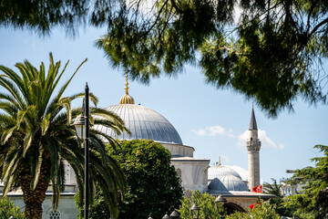 View of the main dome and minaret of the Hagia Sophia Mosque in Istanbul through green palm and pine branches. A clear sunny day highlights the historical Ottoman architecture. © Tetiana