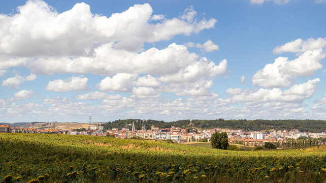 Vista de una ciudad con edificios y catedral bajo un cielo azul con nubes y campo verde en Burgos, Espa&ntilde;a