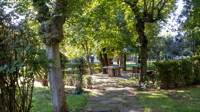 Sendero de piedra entre &aacute;rboles y arbustos en un parque verde