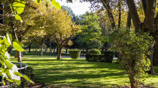 Parque verde iluminado por la luz del sol entre &aacute;rboles y arbustos