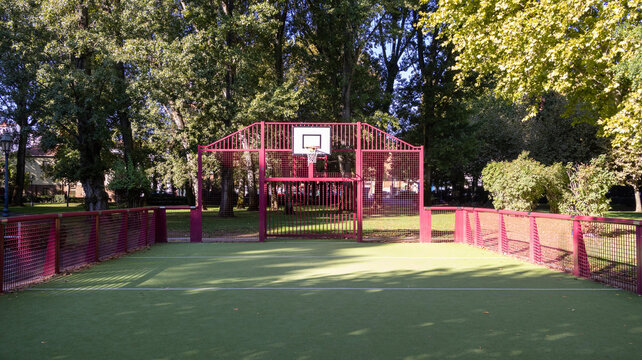 Cancha de baloncesto exterior con c&eacute;sped verde en un parque con &aacute;rboles