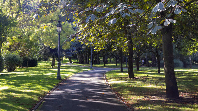 Camino de asfalto en un parque con &aacute;rboles c&eacute;sped y una farola