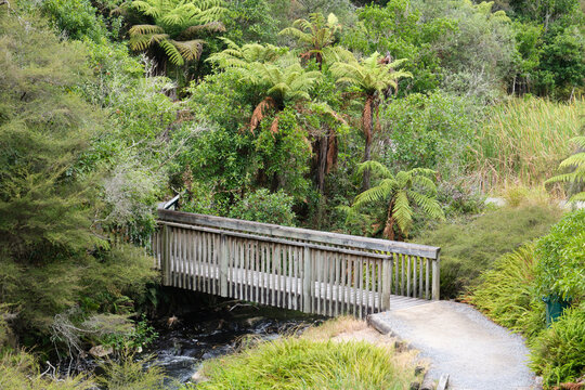 Bridge over a little stream in Waimangu Volcanic Valley - Rotorua, New Zealand