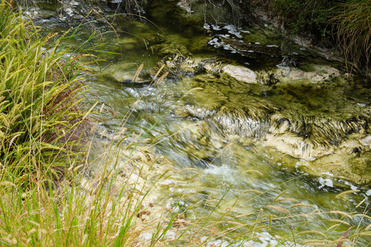 Clam Shell Spring in Waimangu Volcanic Valley - Rotorua, New Zealand