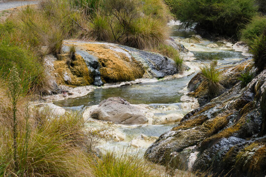 Clam Shell Spring in Waimangu Volcanic Valley - Rotorua, New Zealand