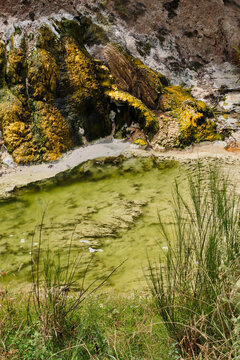 Stream in Waimangu Volcanic Valley - Rotorua, New Zealand