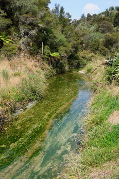Stream in Waimangu Volcanic Valley - Rotorua, New Zealand