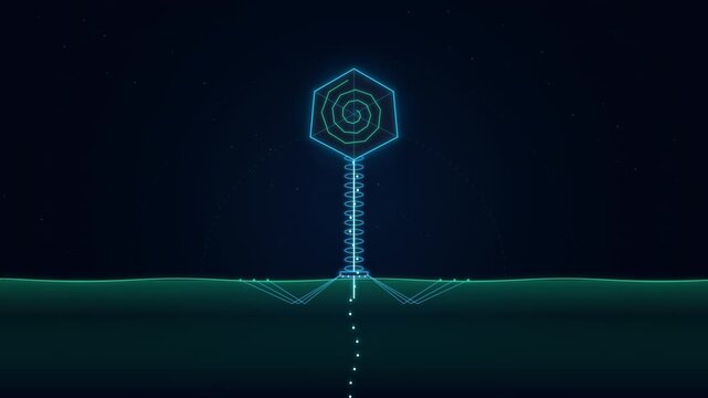 Bacteriophage Virus Injecting Genetic Material into Bacterium Loop