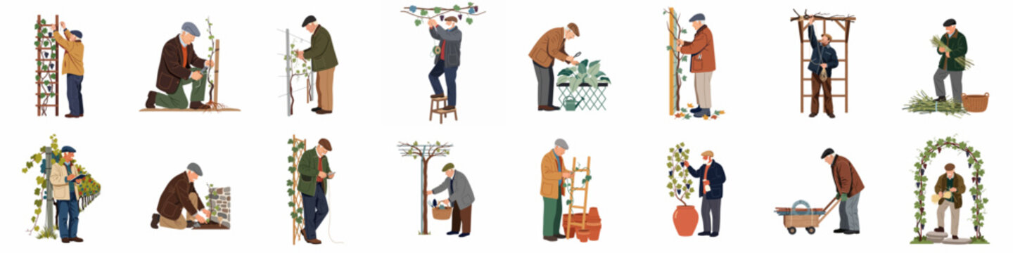 Collection of illustrations showing senior men engaged in various gardening activities, including planting, pruning, and harvesting, set against a white background.