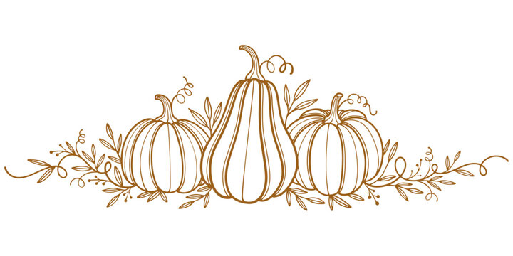Pumpkin thanksgiving element vector illustration
