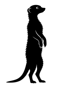 Black Silhouette Illustration Of Meerkat Animal Standing Upright Isolated On White Background
