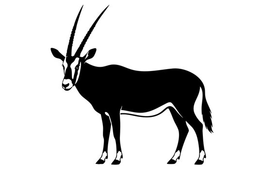 Black Silhouette Illustration Of Oryx Antelope Wild African Animal Isolated On White Background
