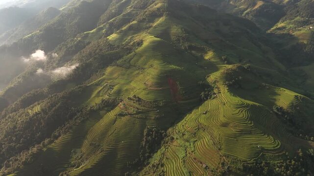 Aerial view of the lush green rice terraces at Kim Noi Viewpoint with soft morning light illuminating the mountain slopes in Mu Cang Chai, Lao Cai, Vietnam.