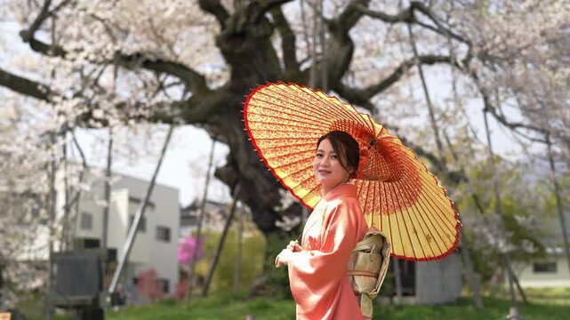 A woman in an orange kimono smiles toward the camera with a paper parasol resting above her shoulder. Japan, April 19, 2025, spring.
