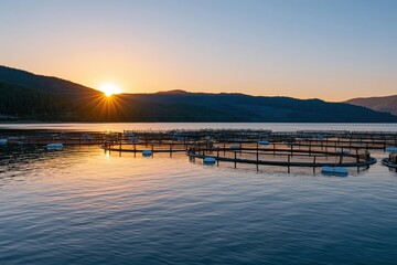 Fototapeta premium The Sunset Over The Lake And Floating Docks At Dusk