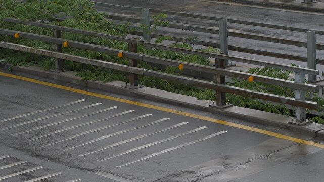 Wet Rumble Strip Road Markings Beneath Elevated Overpass