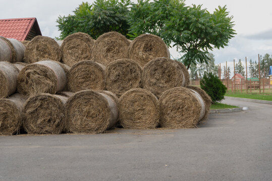 A stack of round hay bales is positioned beside a road. Green trees and a building are visible in the background. The scene is rural and agricultural.