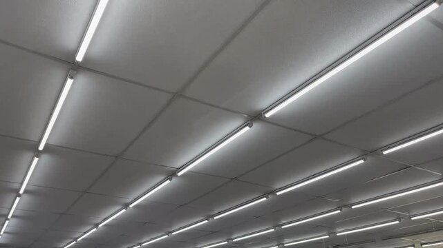 Perspective view of linear LED tube lights on office ceiling