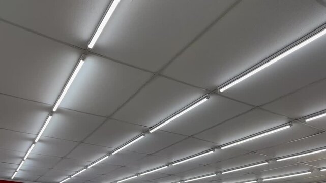 Rows of fluorescent tube lights on commercial building ceiling