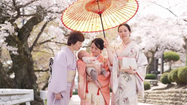 Three women in kimonos stand with a baby beneath a paper parasol and look to the side under cherry blossoms. Japan, April 19, 2025, spring.