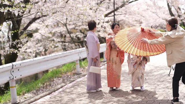 An assistant holds a paper parasol in front of three women in kimonos and a baby on a blossom-lined street. Japan, April 19, 2025, spring.