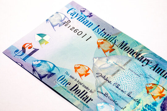 Cayman Islands 1 Dollar banknote featuring tropical fish, $1 symbol, and microtext security patterns. KYD currency. Caribbean money.