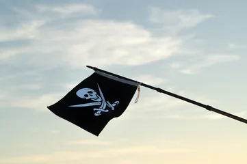 Jolly Roger (pirate flag) © BSANI
