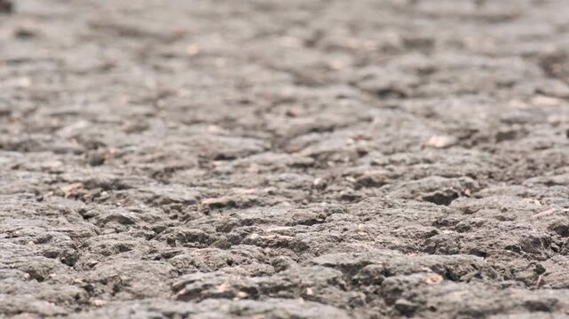 Cracked dry soil texture on agricultural field damaged by severe drought, environmental disaster concept, macro top down view