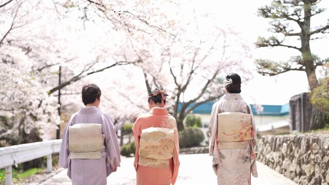 Three women in kimonos stand facing away beneath cherry trees, with decorative obi bows visible and a baby held centrally. Japan, April 19, 2025, spring.