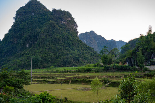 Terraced fields at the foot of karst mountains in Cao Bang Province