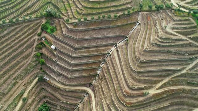 Aerial view of terraced vineyards in the Douro River valley with winding dirt paths and stone retaining walls in Portugal.