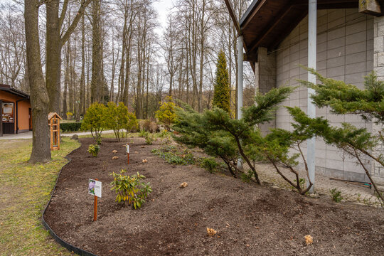 A serene park landscape featuring fresh garden mulch beds, decorative shrubs, and lush green trees under a soft daylight sky