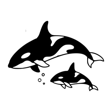 mother and baby orca killer whale swimming line art vector illustration