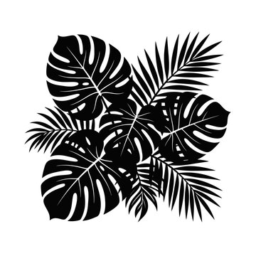 Tropical Monstera and Palm Leaves Silhouette.