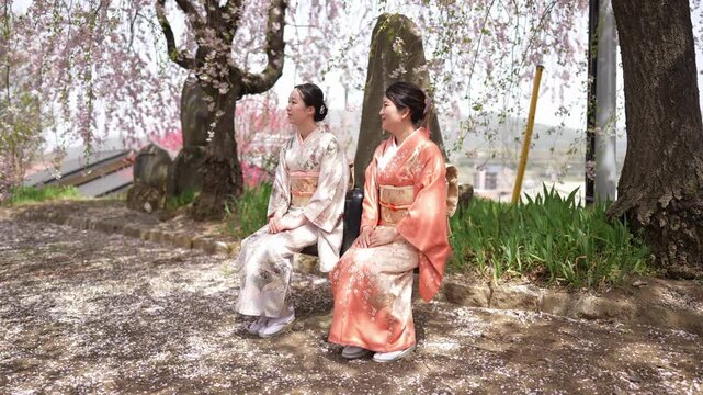 Two women in pale patterned and orange kimonos sit on a bench beneath drooping cherry blossom branches. Japan, April 19, 2025, spring.