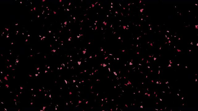 falling love hearts of romantic love themed sweetheart shapes tumbling out of the sky in a shower of little small red and pink hearts dropping from above with plain black background 4K 
