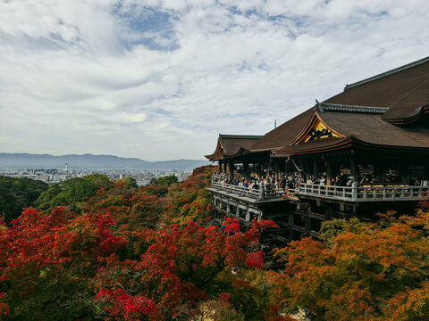Kyoto, Japan - 28 August 2026: View of the historic Kiyomizu-dera temple wooden stage surrounded by vibrant red autumn maple trees overlooking the city of Kyoto under a cloudy sky.