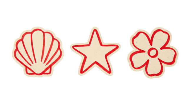 Three decorative craft shapes including a seashell, a star, and a flower isolated on transparent background