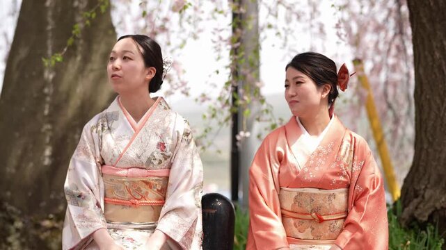 Two women in patterned and orange kimonos sit beside one another beneath pale cherry blossoms. Japan, April 19, 2025, spring.