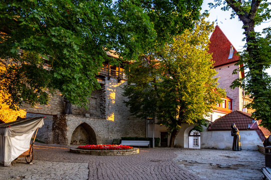 Beautiful morning view of the Danish King's Garden in Tallinn. Empty medieval courtyard, ancient fortress wall, and Tallitorn tower illuminated by warm sunrise light in Old Town, Estonia.