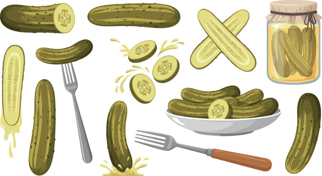 Pickled cucumber vector illustration collection set featuring whole sliced and jarred gherkins isolated on white background for design