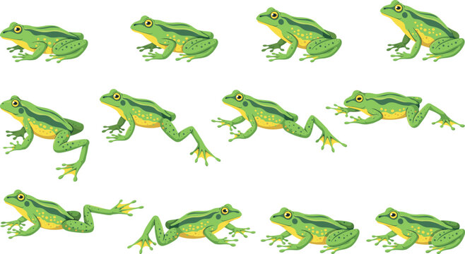 Green frog jumping animation sprite sheet vector illustration set featuring cute cartoon toads isolated on white background