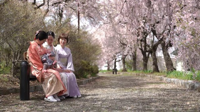 Three women in kimonos sit close together on a bench and lean toward a baby beneath weeping cherry blossoms. Japan, April 19, 2025, spring.
