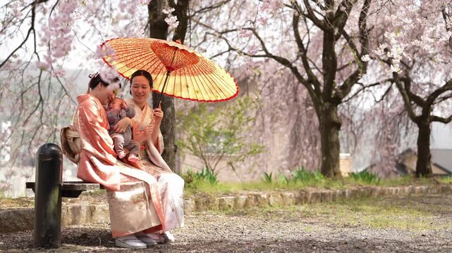 Two smiling women in kimonos sit together on a bench with a baby beneath a paper parasol and weeping cherry blossoms. Japan, April 19, 2025, spring.