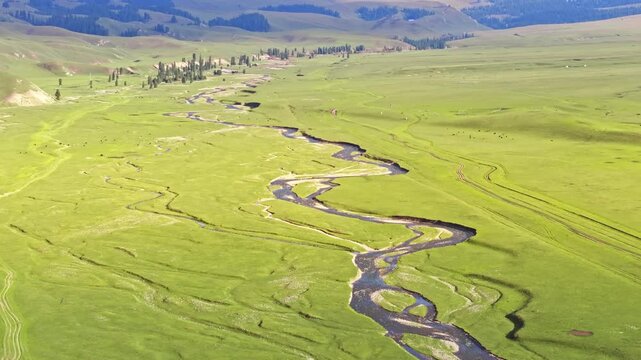 Aerial Winding River Through Vast Green Prairie in Central Asia Mongolian Steppe