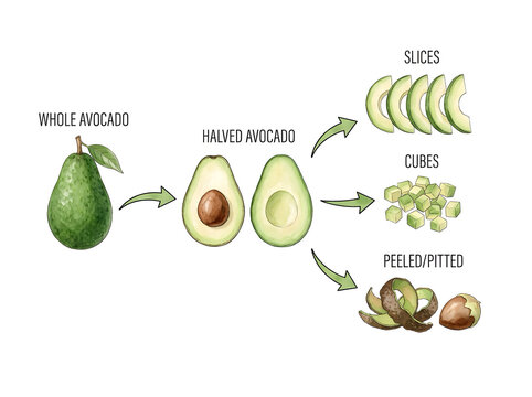 Educational guide showing whole and halved avocado with prepared slices cubes and peeled parts avocado halves sliced avocado diced avocado green fruit food diagram culinary prepa