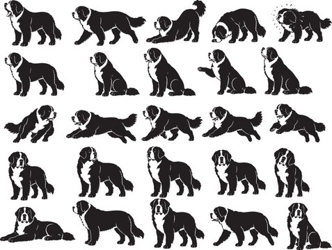 Saint Bernard Dog Daily Life Poses Black Silhouette