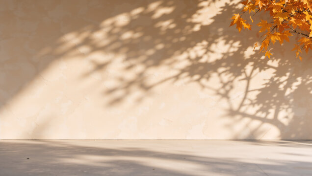 Minimalist autumn background with orange maple leaves and branch shadows on a beige wall. Empty concrete floor with copy space for product display