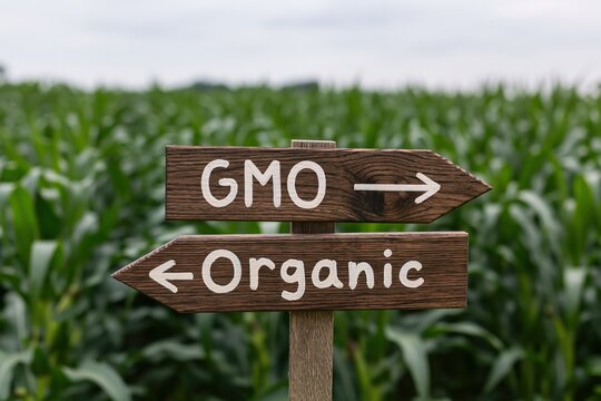 The GMO Organic Signpost in a Field Highlighting Food Production Choices